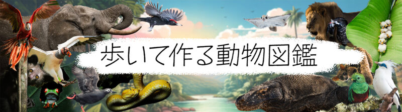 歩いて作る動物図鑑
